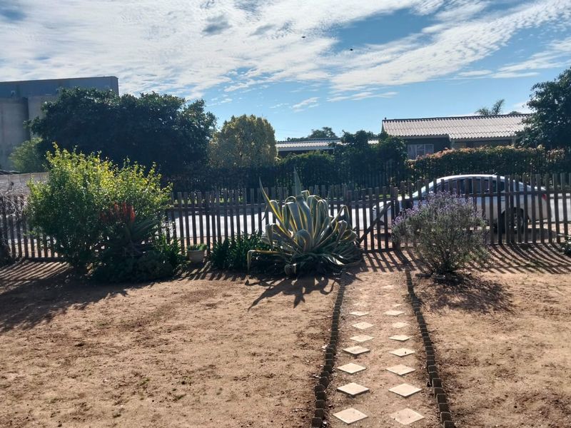 A view of the front garden featuring a paved walkway leading to a timber picket fence with established shrubs and trees.