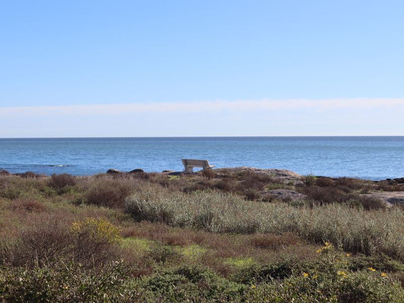 Vacant land for Sale in St Helena Views, St Helena bay - Photo 9