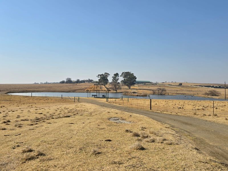 A scenic view of the farm landscape featuring a dam, a thatched gazebo, and a gravel access road.