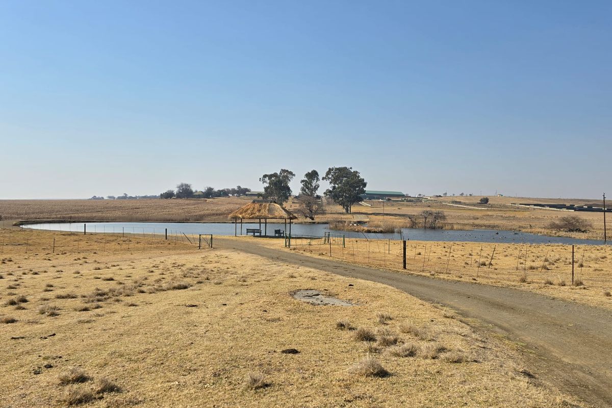 A scenic view of the farm landscape featuring a dam, a thatched gazebo, and a gravel access road.