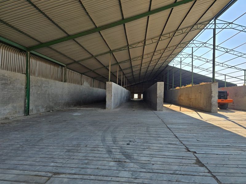 Large open-plan agricultural utility shed featuring high-clearance corrugated metal roofing, steel truss framing, and durable concrete partition walls for storage or livestock management.