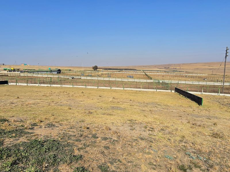 Expansive farm landscape featuring multiple fenced livestock enclosures and utility structures under a clear sky.