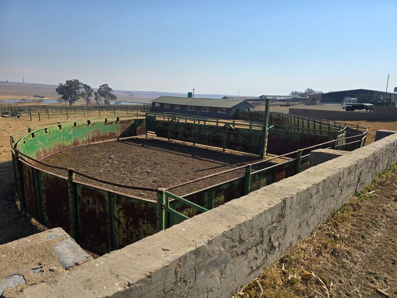 Outdoor livestock handling facility featuring a circular metal kraal and concrete retaining walls on a working farm property.