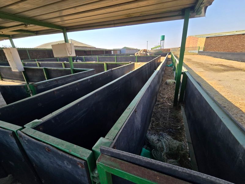 Outdoor livestock handling facility featuring partitioned pens with steel framing and overhead roofing, suitable for farm operations.