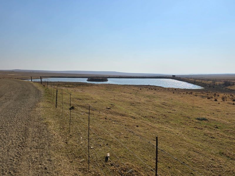 A wide-angle view of the farm landscape featuring a large dam, open grazing fields, and a dirt access road enclosed by wire fencing.