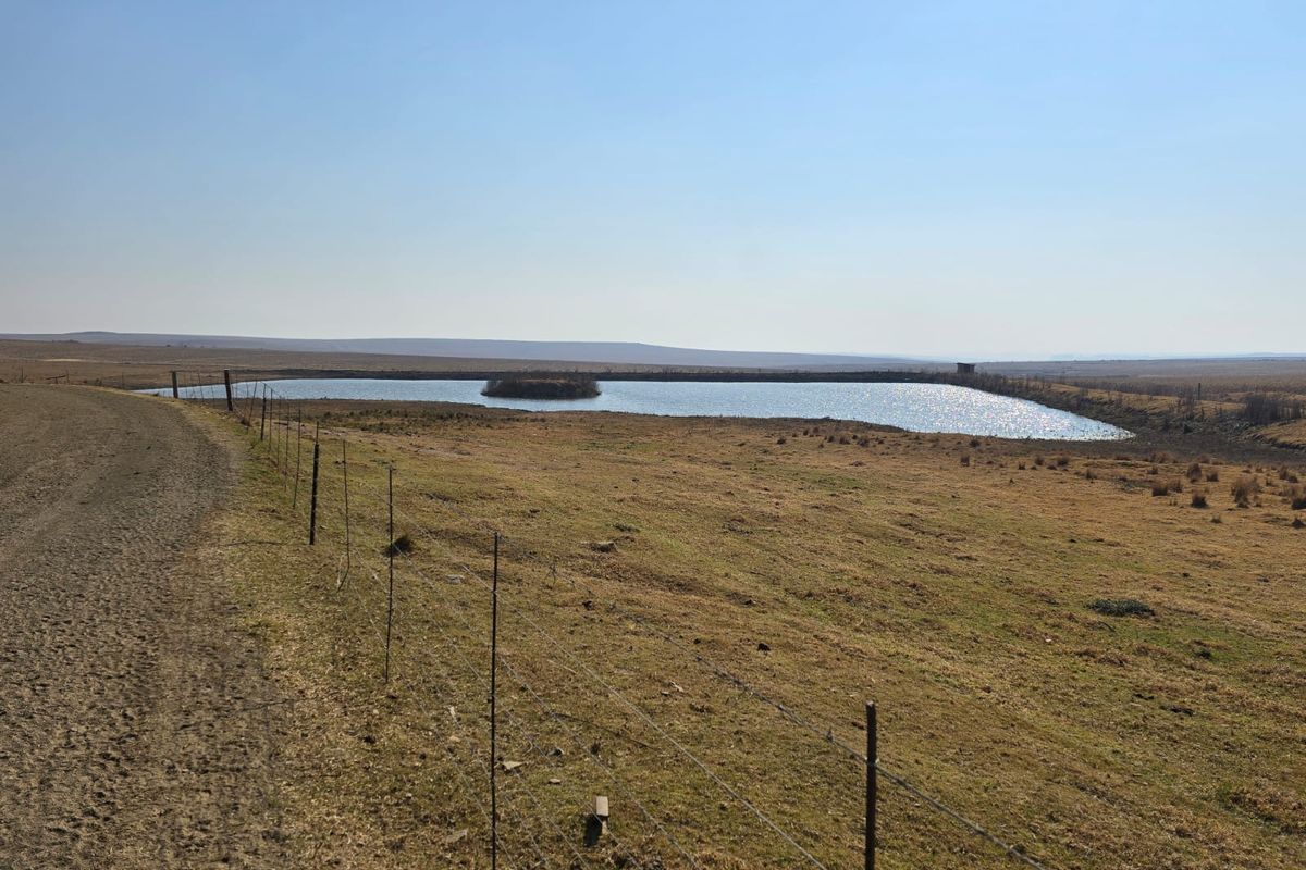 A wide-angle view of the farm landscape featuring a large dam, open grazing fields, and a dirt access road enclosed by wire fencing.