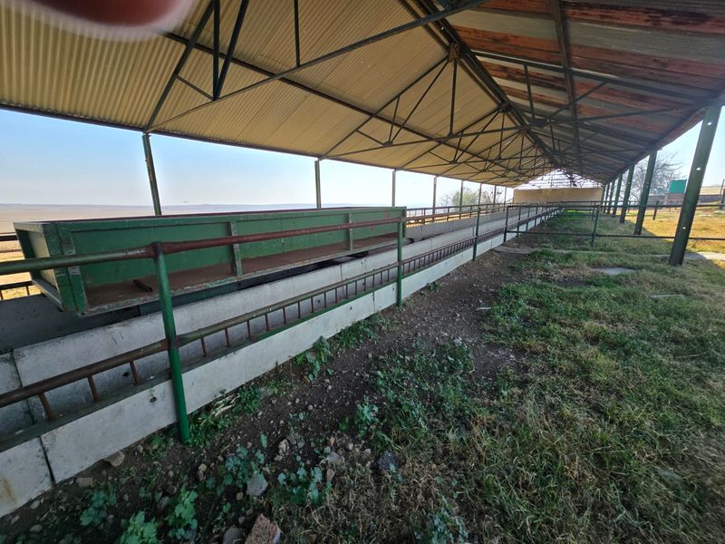 An open-sided farm utility structure featuring a corrugated metal roof, steel trusses, and a long concrete feeding trough for livestock.