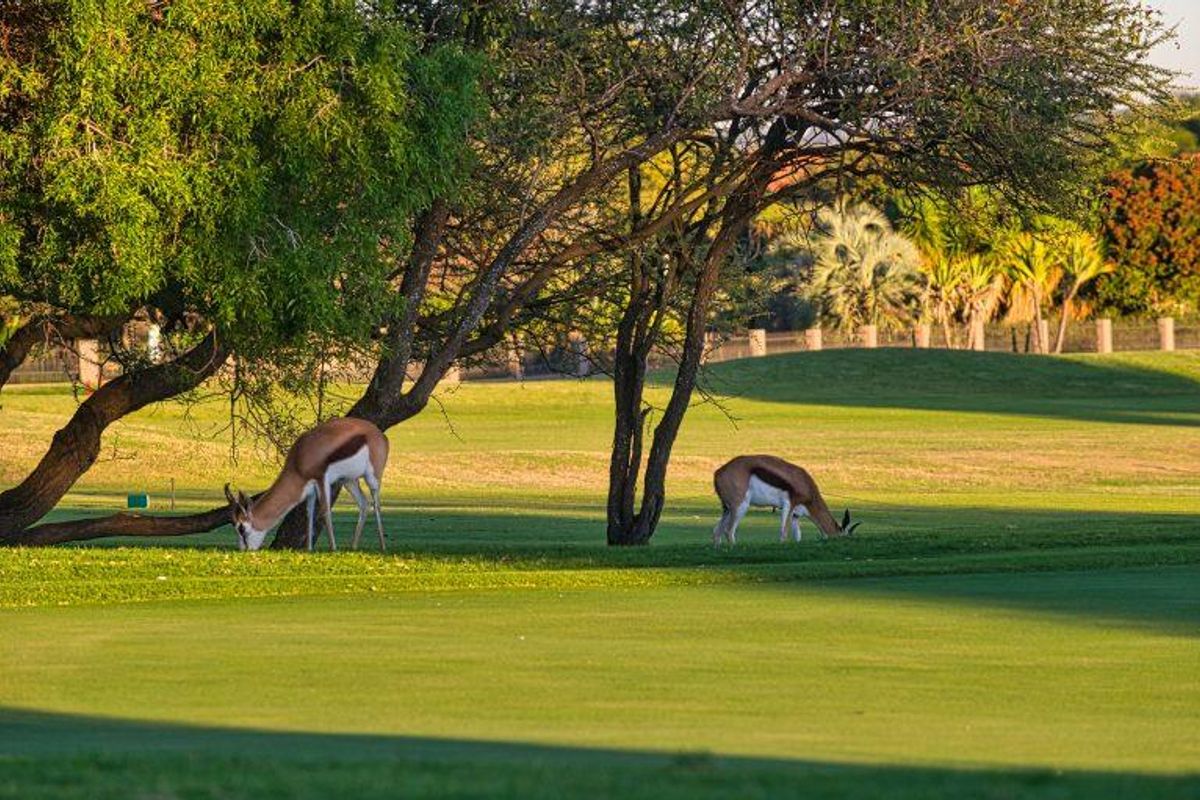 Prime 1 Hectare Stand in Prestigious Pebble Rock Golf Village - Photo 4