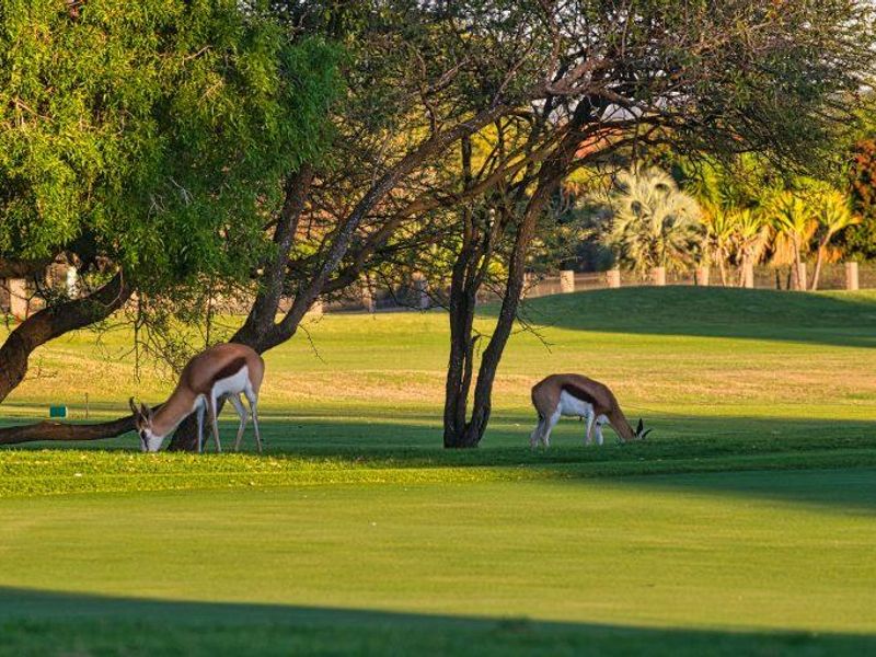 Prime 1 Hectare Stand in Prestigious Pebble Rock Golf Village - Photo 4