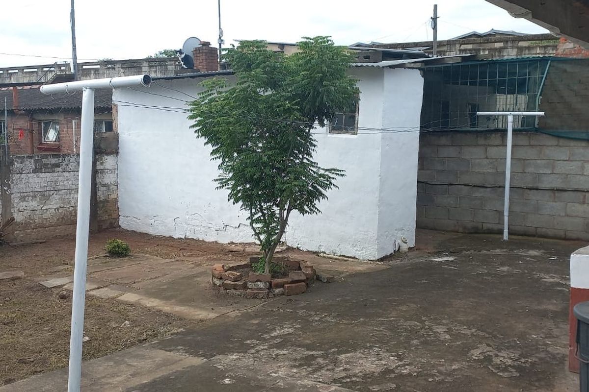 A rear exterior yard featuring concrete paving, a brick tree planter, and metal washing line poles, enclosed by a concrete boundary wall.