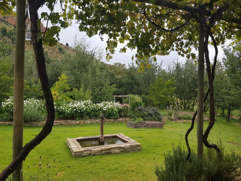 A lush, well-maintained garden featuring a stone water feature, timber pergola, and raised garden beds set against a scenic hillside backdrop.