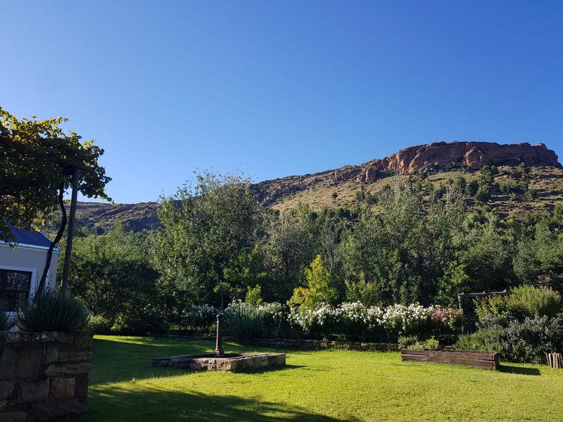 A well-maintained garden featuring a stone water feature, lush lawn, and mature plantings, set against a scenic mountain backdrop.