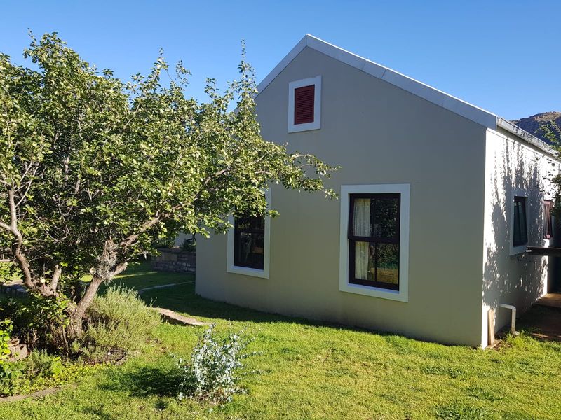 A well-maintained rear elevation of a house featuring a gable roof, plastered walls, and timber-framed windows set within a landscaped garden.