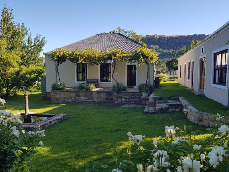 A charming rear garden view featuring a stone-walled patio, a pergola-covered terrace, and a classic stone water feature set against a mountain backdrop.