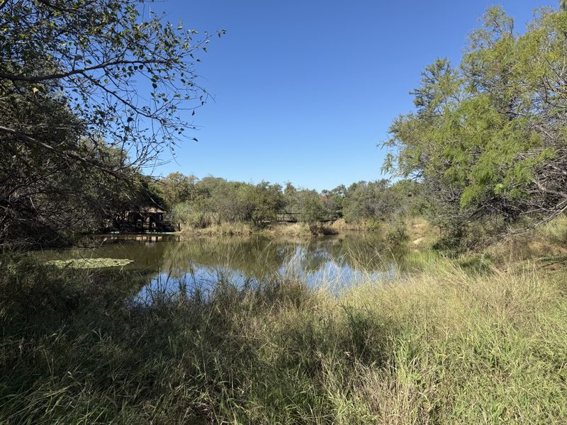 Limited vacant stand available in Leeuwfontein Estate - Photo 4