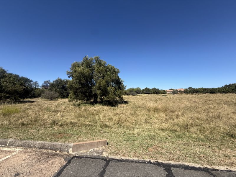 Limited vacant stand available in Leeuwfontein Estate - Photo 3