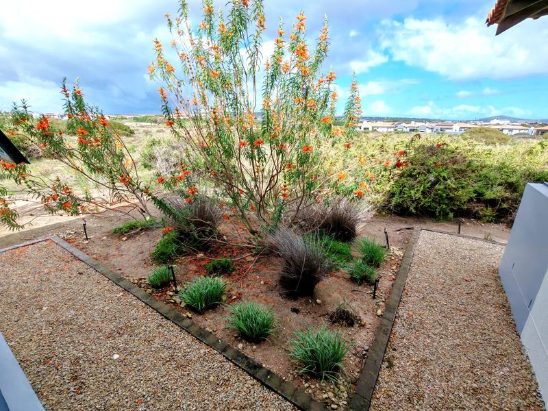 A landscaped garden area featuring gravel pathways, brick edging, and established native shrubs with orange flowers, set against a coastal neighborhood backdrop.