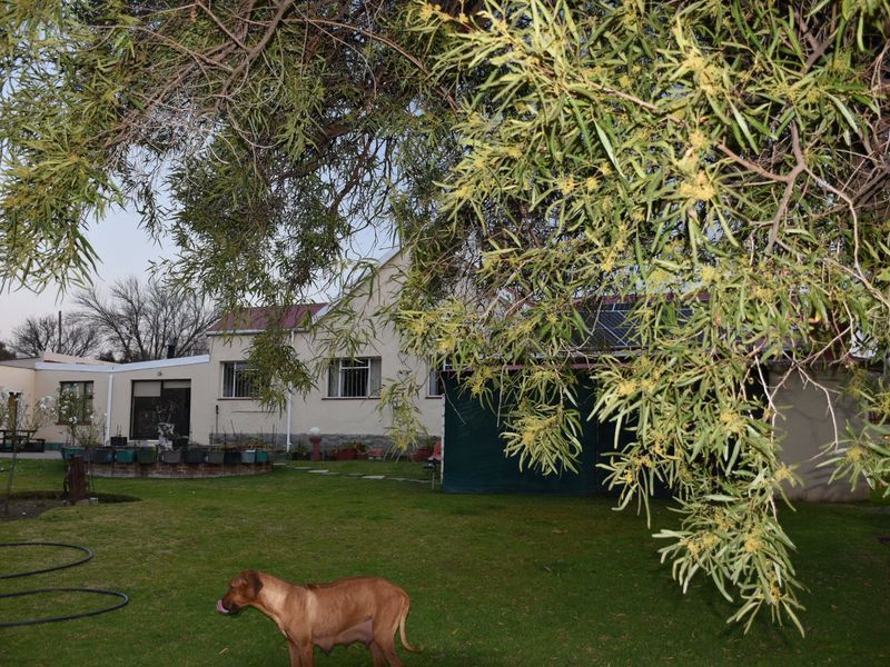 Rear view of the property featuring a landscaped garden, established trees, and a building with a metal roof and installed solar panels.