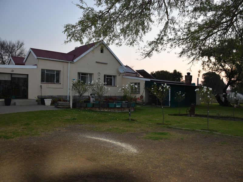 Rear view of the small holding residence featuring a metal roof, paved patio area, and established garden space.