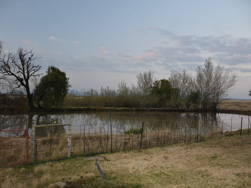 A scenic view of a small farm dam surrounded by natural vegetation and enclosed by wire fencing on the small holding.