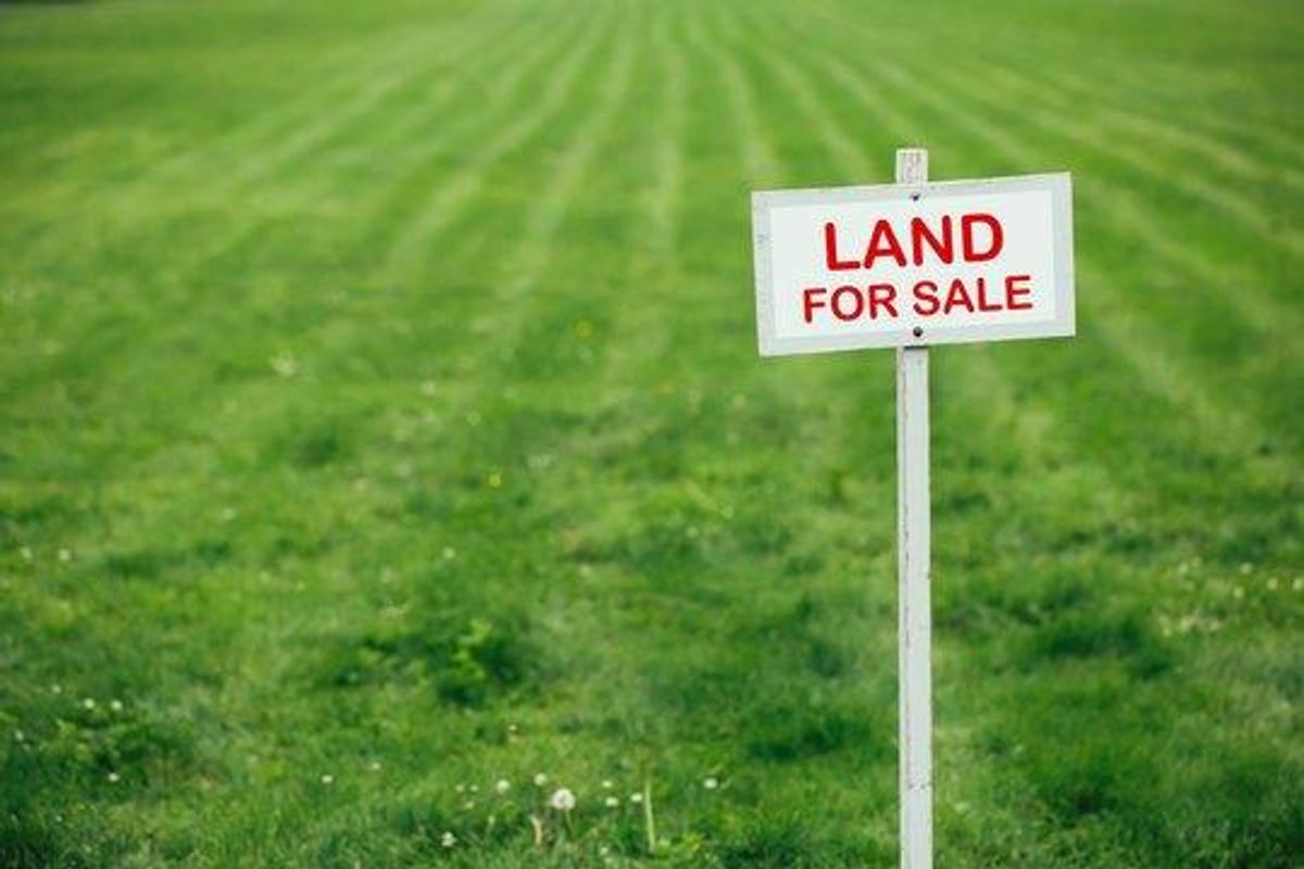 A vacant residential plot of land featuring well-maintained grass and a prominent for sale sign.