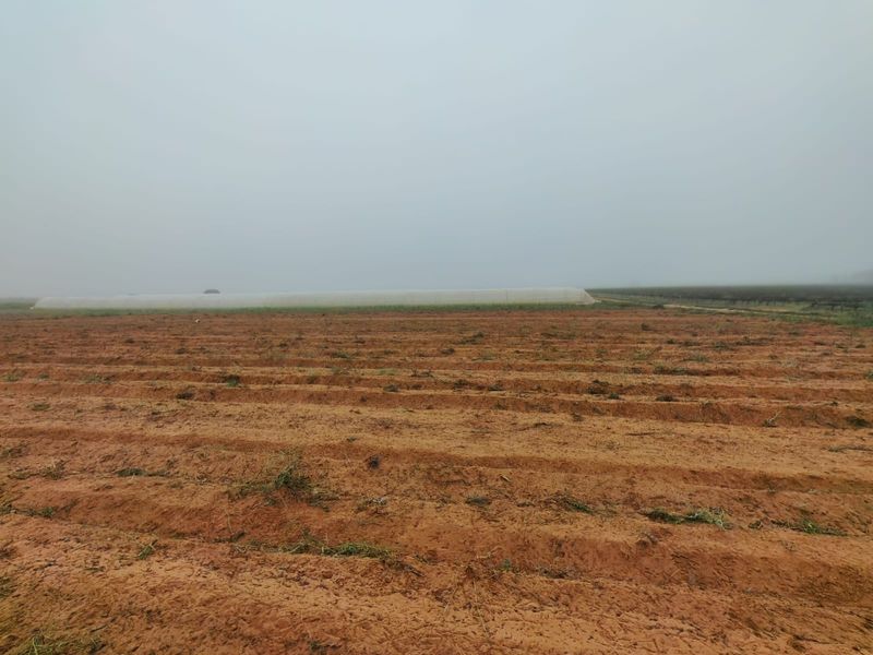 Expansive tilled agricultural land featuring a greenhouse tunnel structure under an overcast sky.