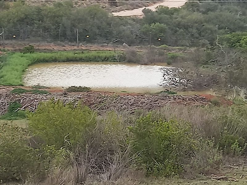 Exclusive Plot & Plan in Outeniquasbosch – Where Nature Meets Comfort - Photo 3