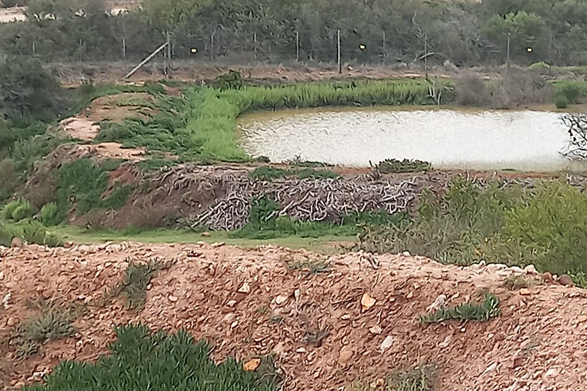 Exclusive Plot & Plan in Outeniquasbosch – Where Nature Meets Comfort - Photo 2