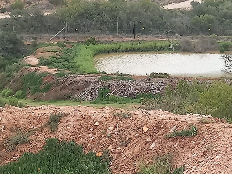 Exclusive Plot & Plan in Outeniquasbosch – Where Nature Meets Comfort - Photo 2
