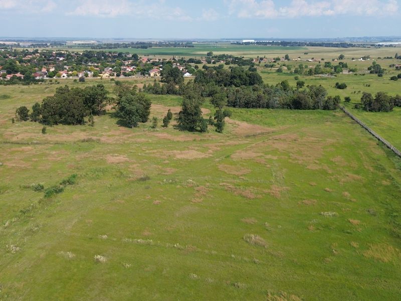 Farm on the outskirts of Heidelberg available! - Photo 1