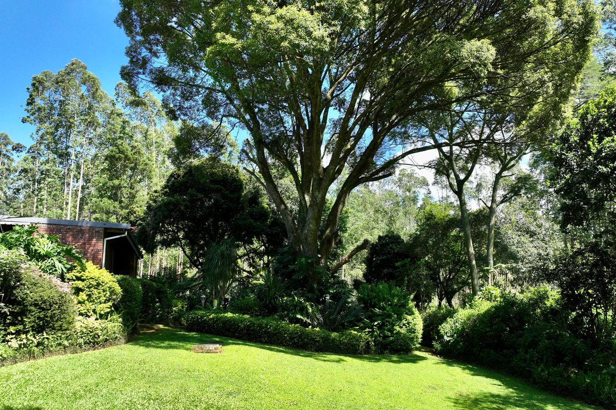 3 bedroom Oasis in Boughton - Photo 5