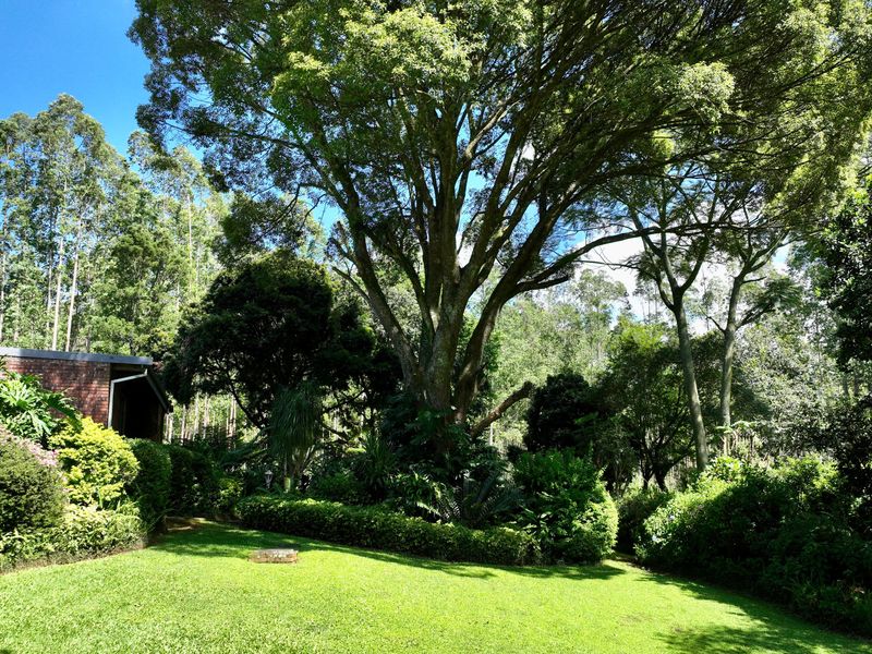 3 bedroom Oasis in Boughton - Photo 5