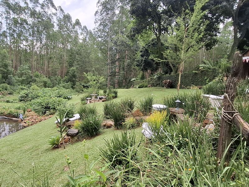 3 bedroom Oasis in Boughton - Photo 8