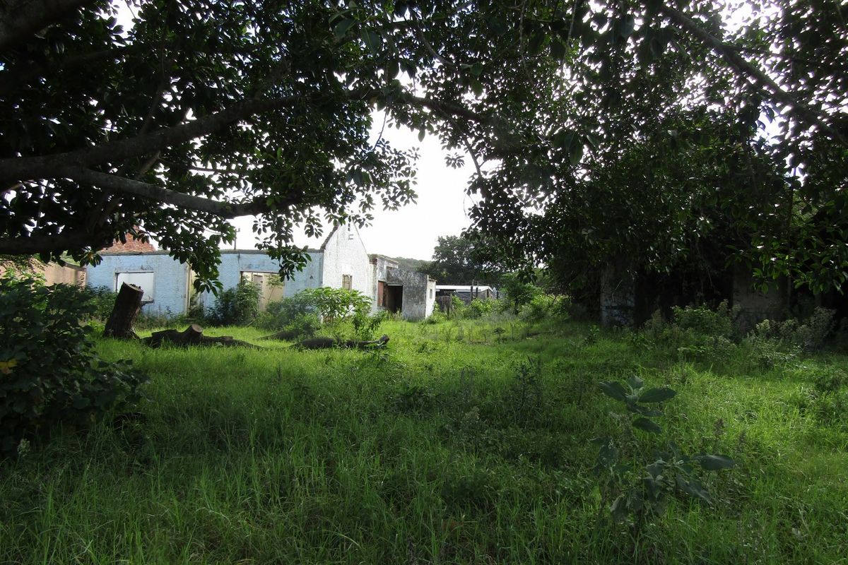 Builders Choice - Photo 5