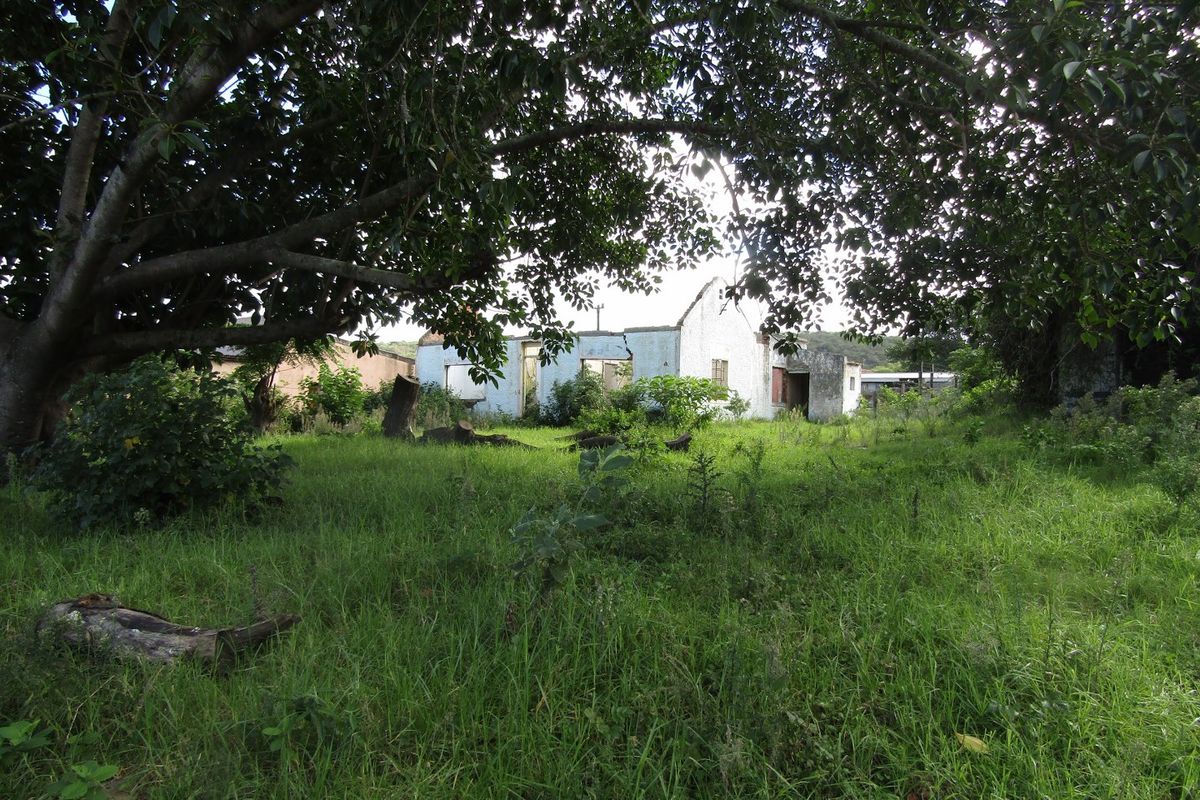 Builders Choice - Photo 4