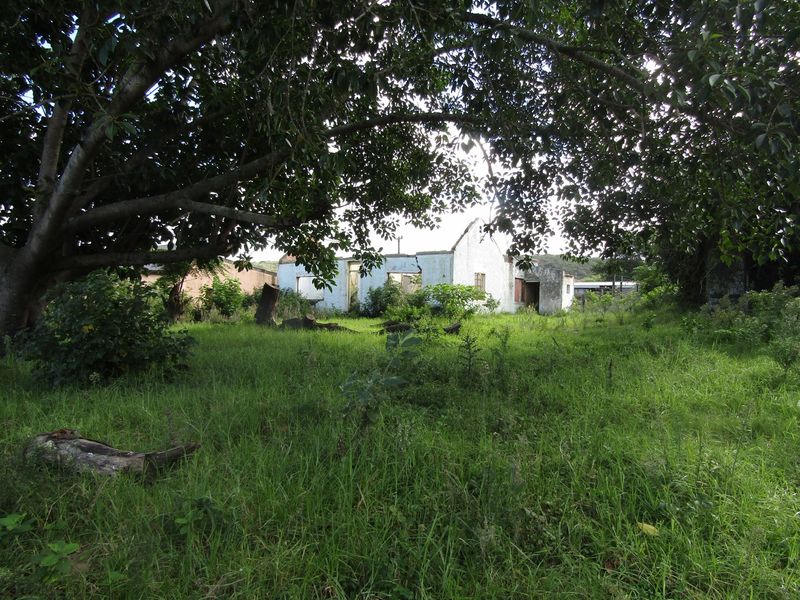 A view of a dilapidated residential structure on a large, overgrown plot of land with mature trees.