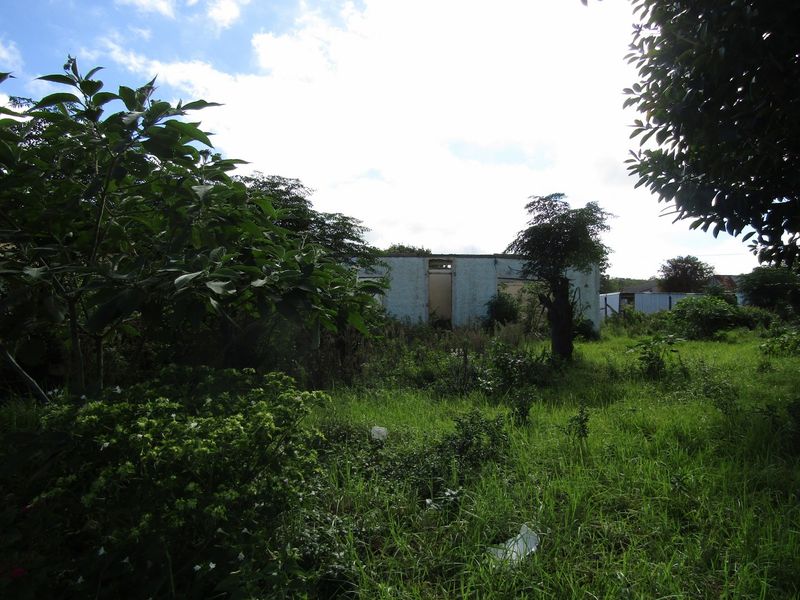 A view of a neglected residential plot featuring an overgrown garden and a dilapidated structure in poor condition.