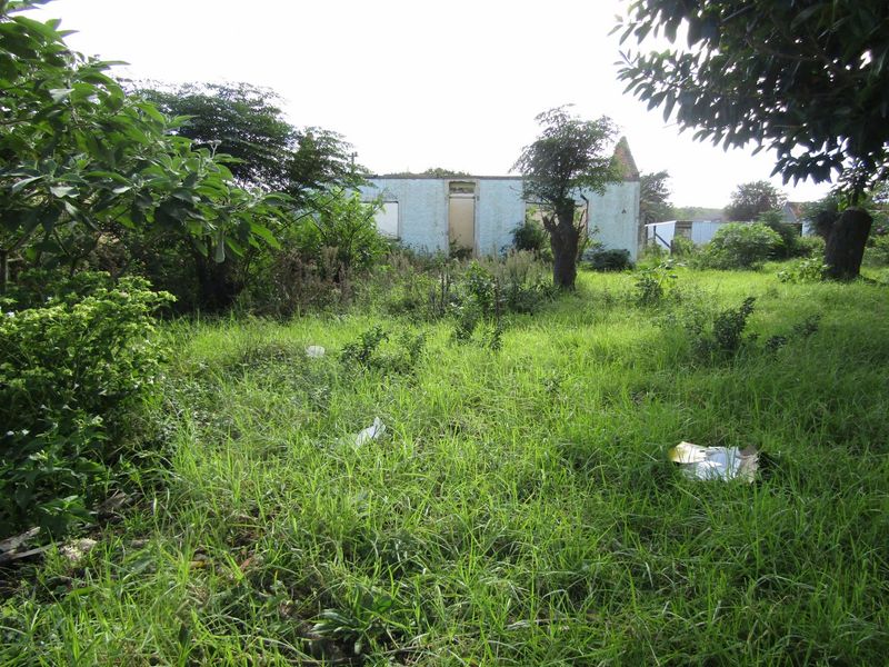 A view of a residential plot featuring an overgrown garden and a dilapidated structure in need of significant repair or demolition.