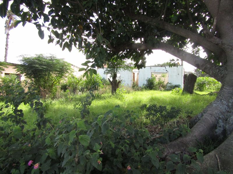 A view of a neglected residential plot featuring overgrown vegetation and the remains of a dilapidated structure in poor condition.
