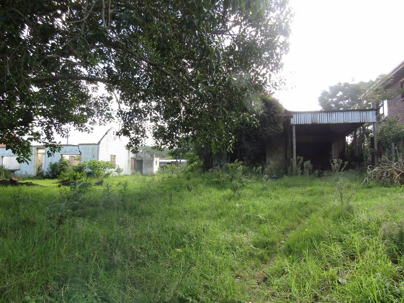 A view of a residential property lot featuring dilapidated structures and overgrown vegetation, indicating a need for significant site clearance or redevelopment.