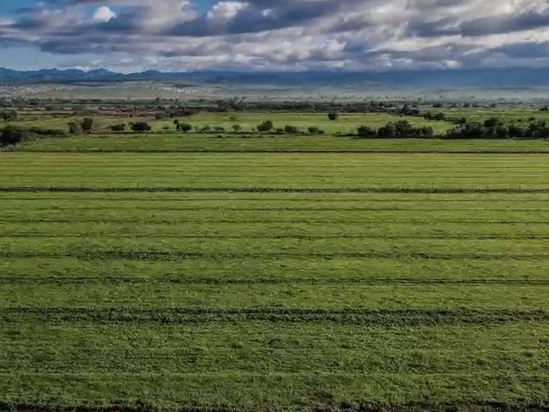 An expansive aerial view of the farm property, showcasing large, well-maintained green agricultural fields stretching towards the distant mountain range.