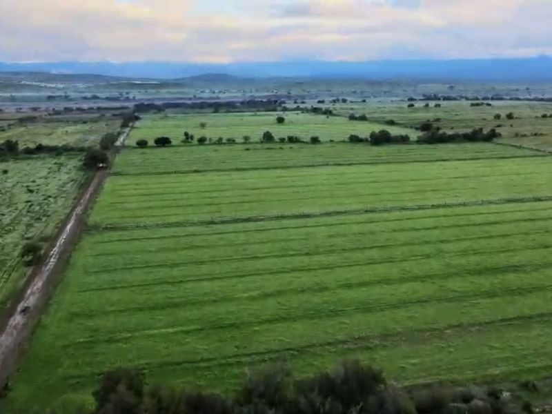 An aerial view of expansive green agricultural farmland featuring a dirt access road and fenced boundaries under a cloudy sky.