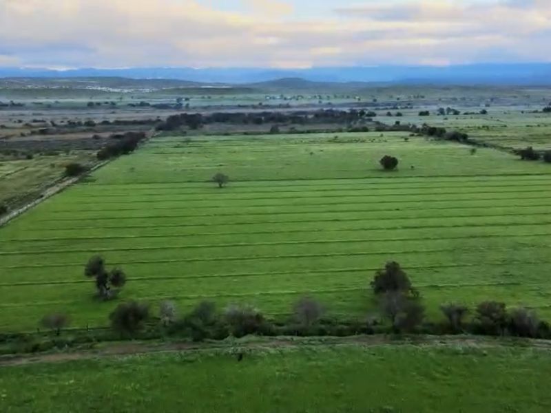 An aerial view of expansive green farmland with open fields and natural landscape features.