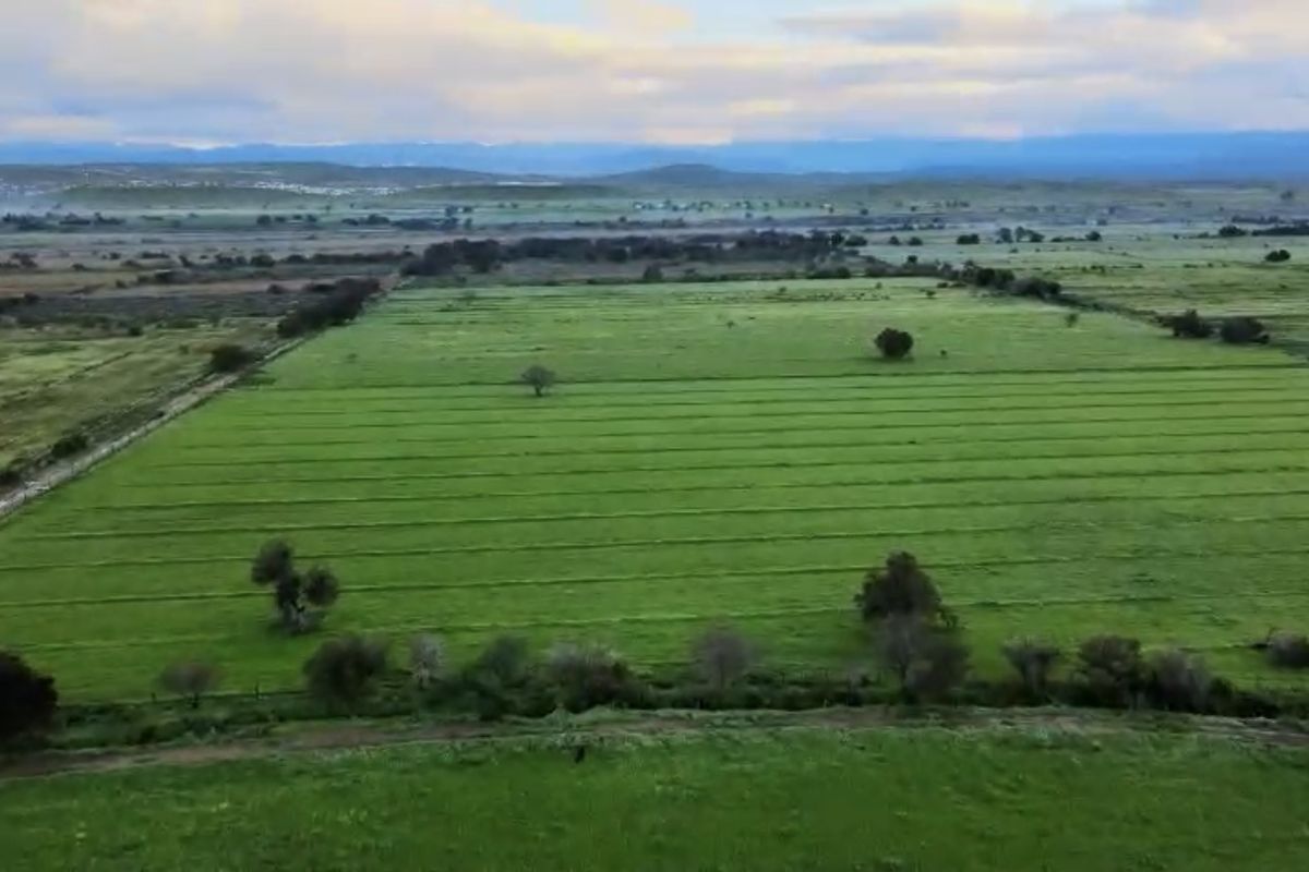 An aerial view of expansive green farmland with open fields and natural landscape features.