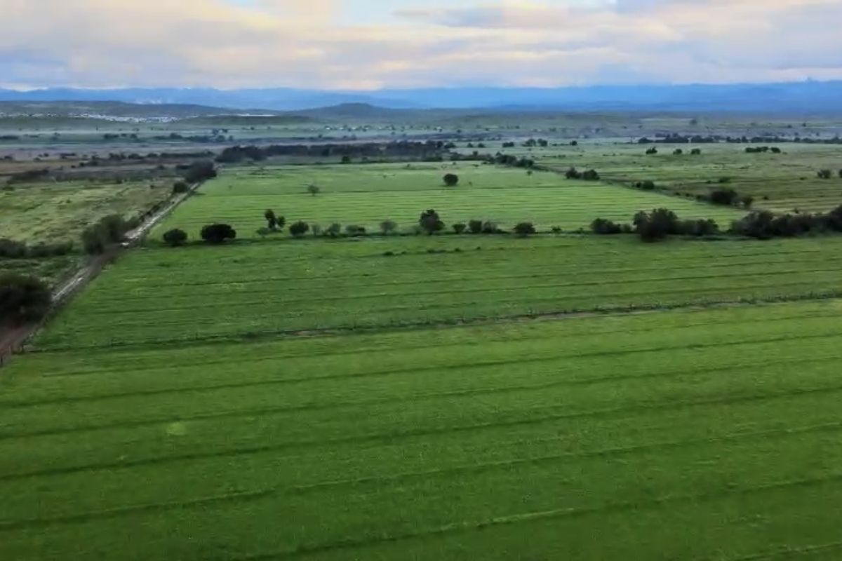 An expansive aerial view of the farm property, showcasing large green pasture fields and open landscape under a cloudy sky.