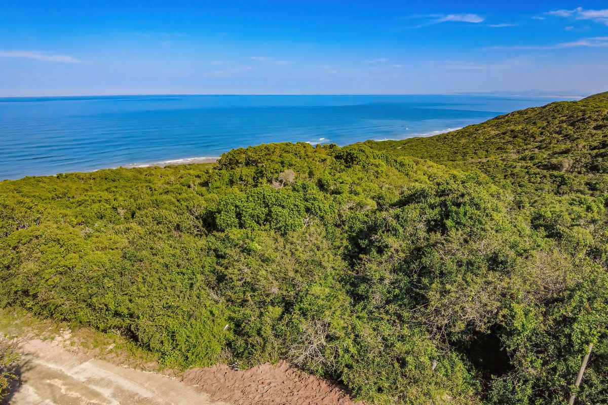 An elevated aerial view showcasing the expansive coastal landscape, dense indigenous vegetation, and the ocean horizon.