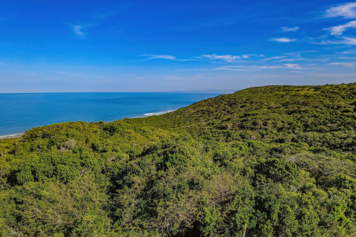 An expansive aerial view showcasing the lush coastal vegetation and the adjacent ocean coastline.