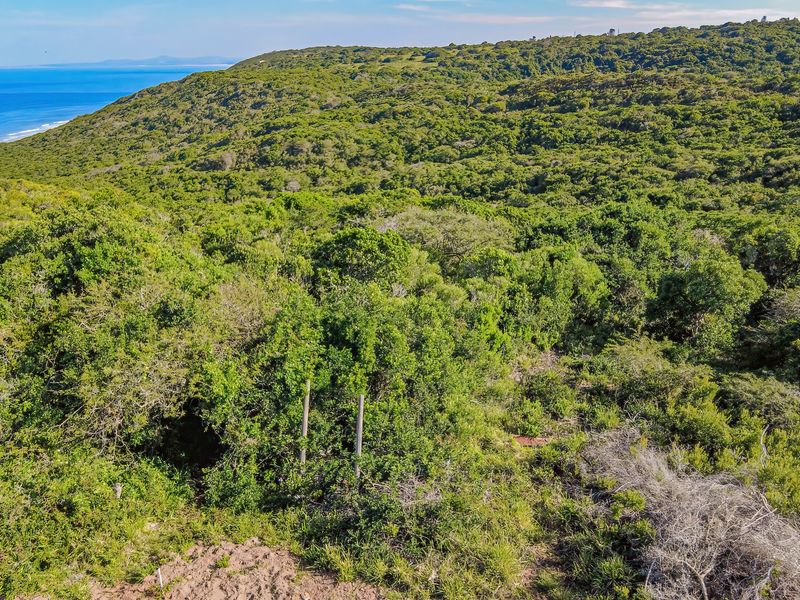 Land with Breathtaking Views - Photo 4