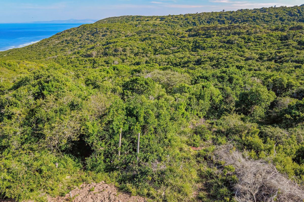 An aerial view of the property showcasing expansive indigenous coastal vegetation and scenic ocean views.