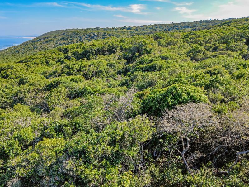 Land with Breathtaking Views - Photo 10